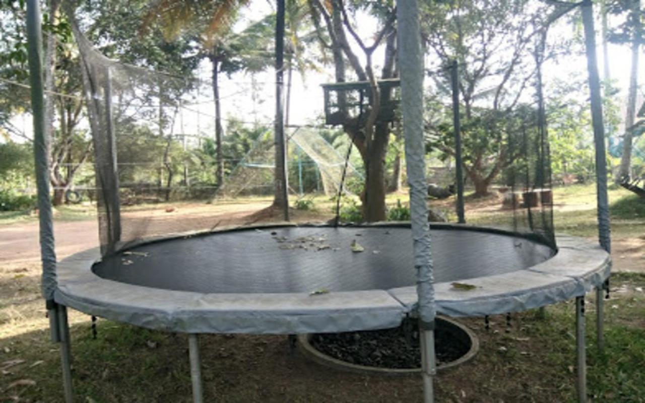 Coorg Green Farm Resort Kushalanagar Bagian luar foto